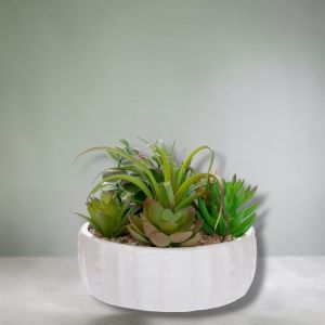 ИЗКУСТВЕНИ САКУЛЕНТНИ РАСТЕНИЯ В КАШПА - РЕАЛЕН ДОПИР 