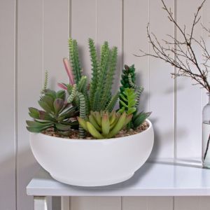 ИЗКУСТВЕНИ САКУЛЕНТНИ РАСТЕНИЯ В КАШПА - РЕАЛЕН ДОПИР 
