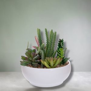 ИЗКУСТВЕНИ САКУЛЕНТНИ РАСТЕНИЯ В КАШПА - РЕАЛЕН ДОПИР 